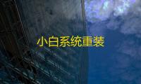 小白系统重装